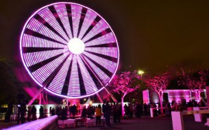roda rosa ibirapuera